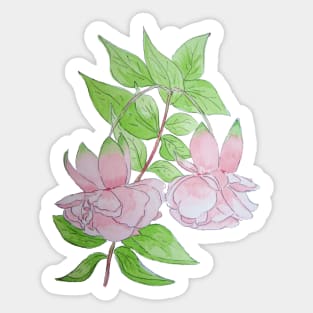 Pink fuchsia flowers with leaves floral Sticker